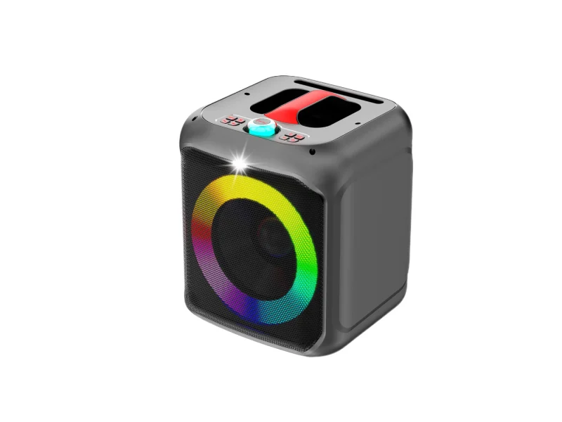 HJP-1002B Party Speaker