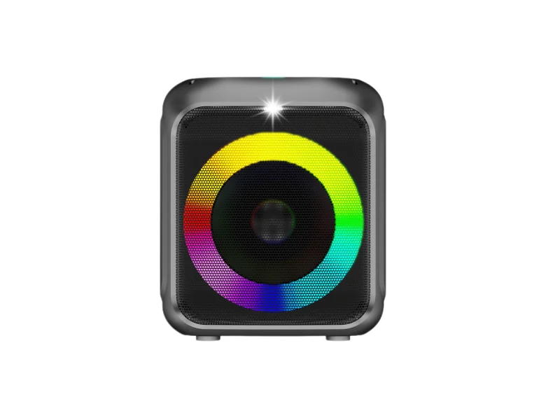 HJP-1002B Party Speaker
