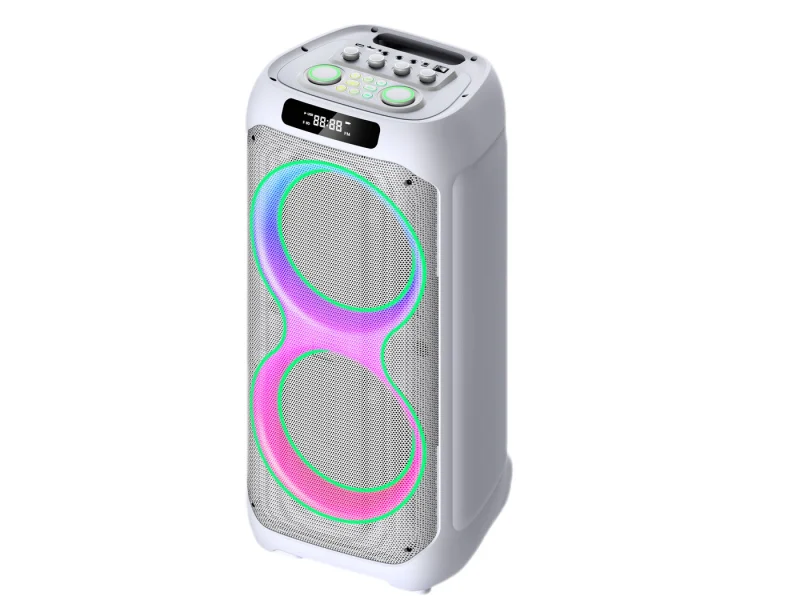 HJP-21020B1 Party Speaker