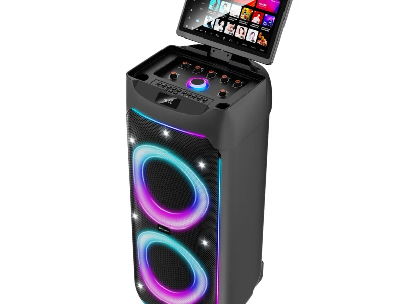 HJSC-2801 A Party Speaker