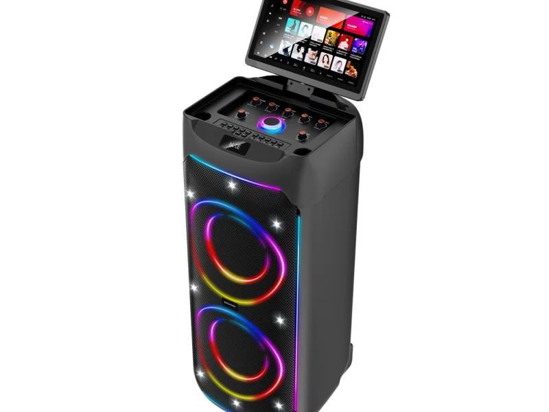 HJSC-2801 B Party Speaker