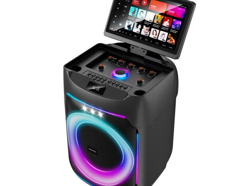 HJSC-801 A Party Speaker