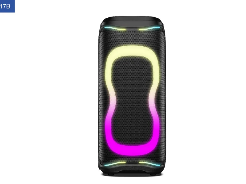 PBL-210 Party Speaker