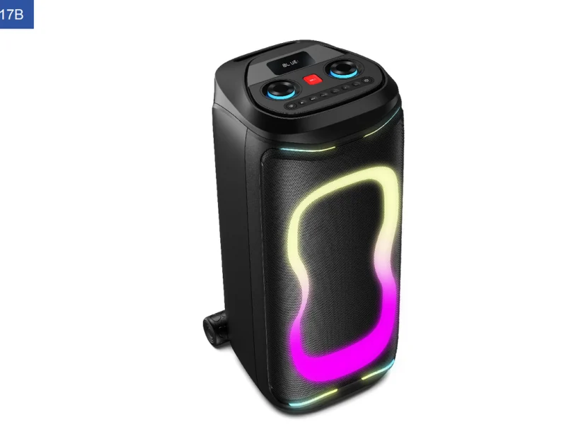 PBL-210 Party Speaker