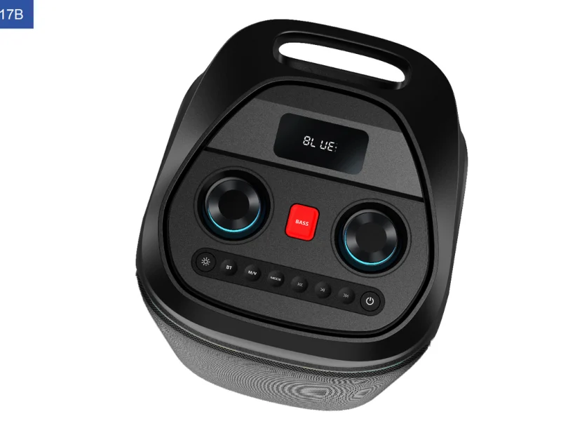 PBL-210 Party Speaker