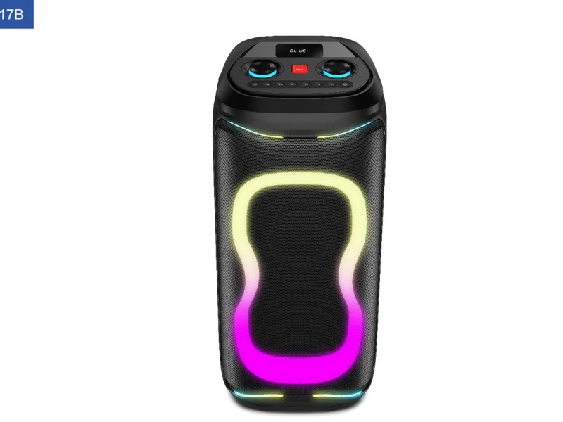PBL-210 Party Speaker
