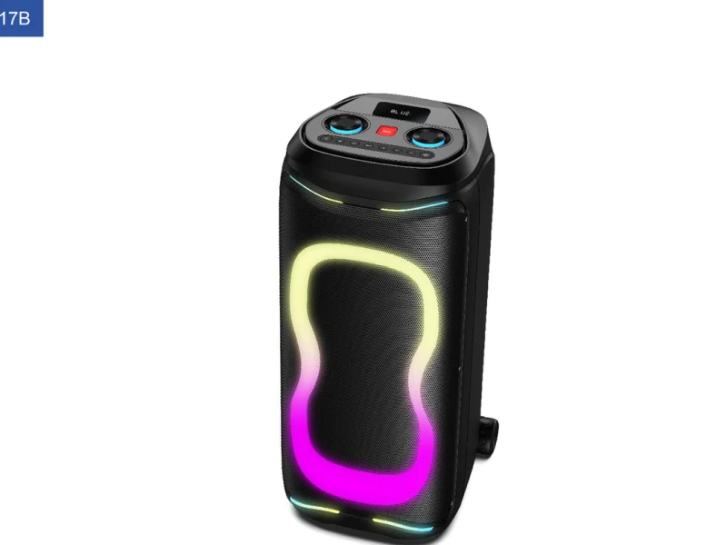 PBL-210 Party Speaker