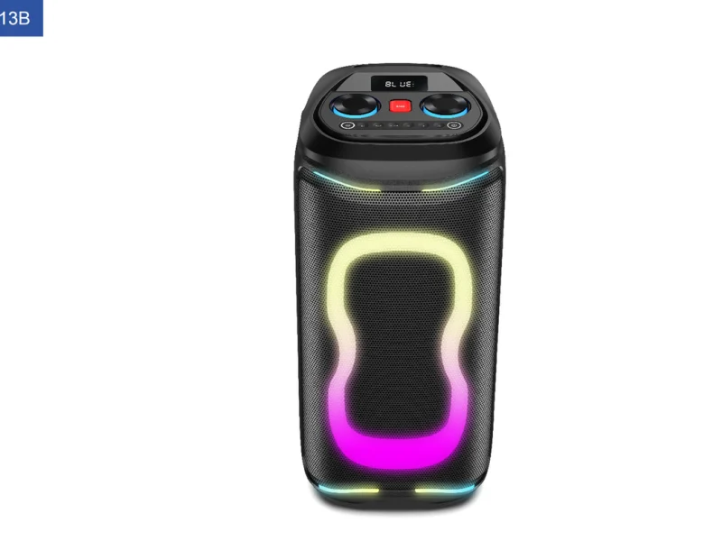 PBL-28A Party Speaker