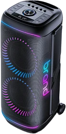 PMM-210 Party Speaker