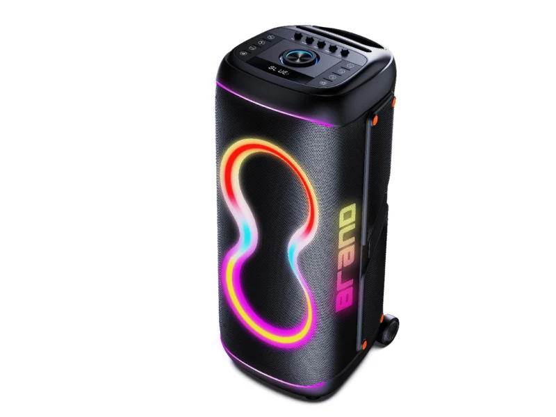 PMM-28 Party Speaker