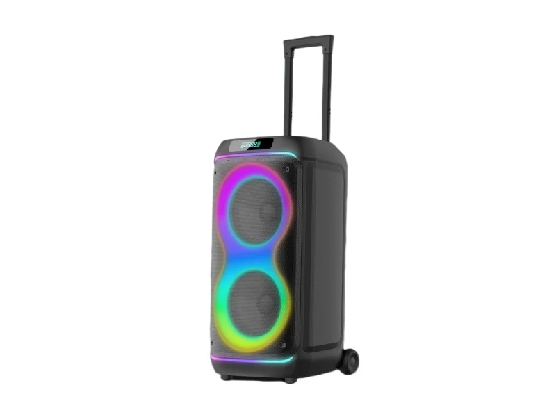 HJP-2808 Party Speaker