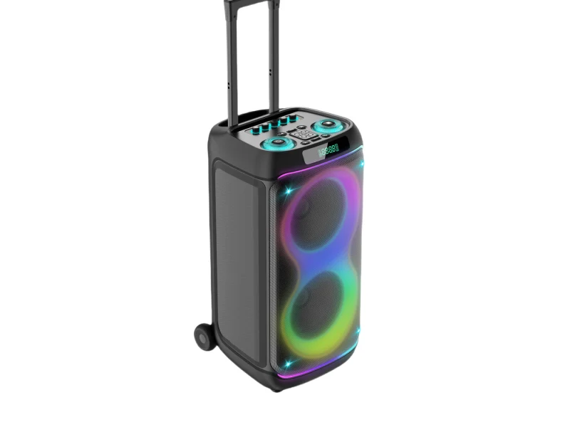 HJP-2808 Party Speaker
