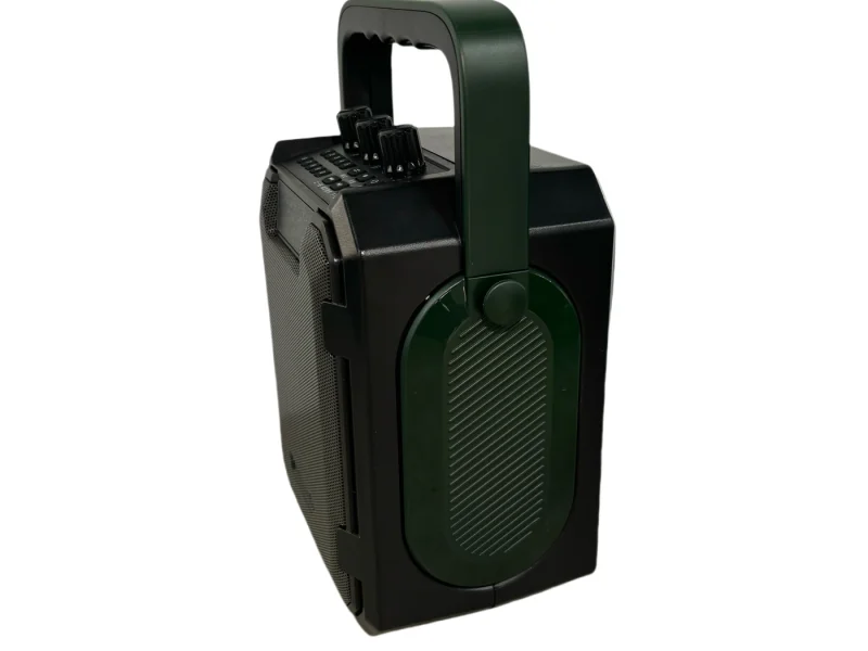 HJP-2826B Party Speaker