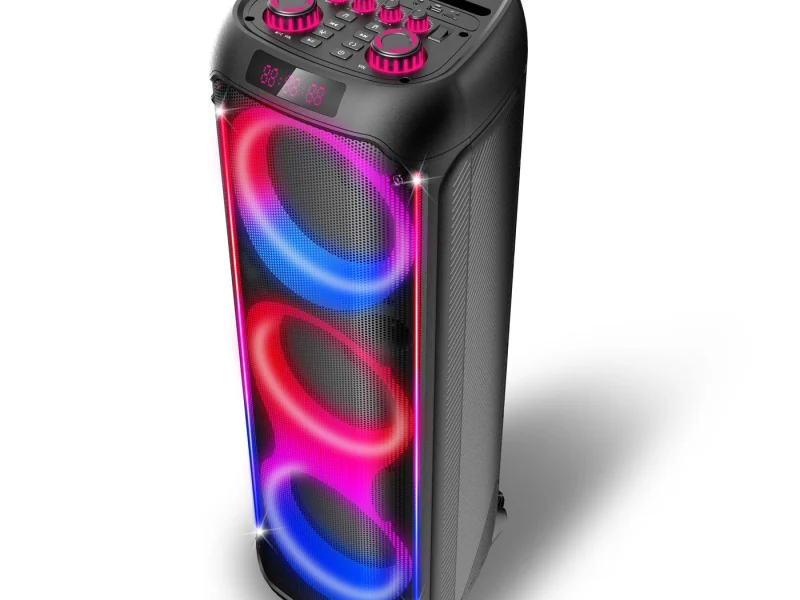 HJP-3802 Party Speaker