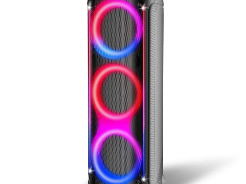 HJP-3802 Party Speaker