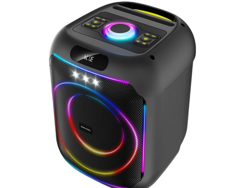 HJP-801 Party Speaker