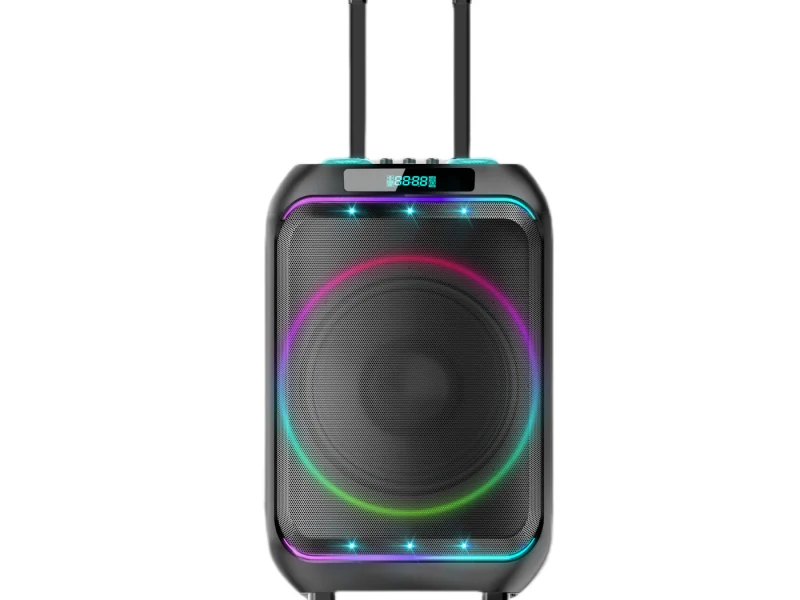 HJP-1201 Party Speaker