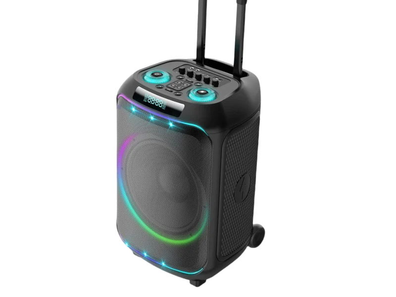 HJP-2826C Party Speaker