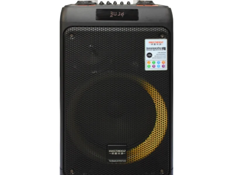 SA13-10 Party Speaker