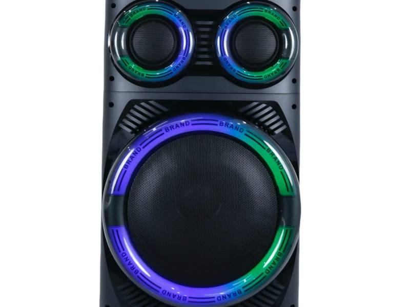 HJT-1201 Wooden Speaker