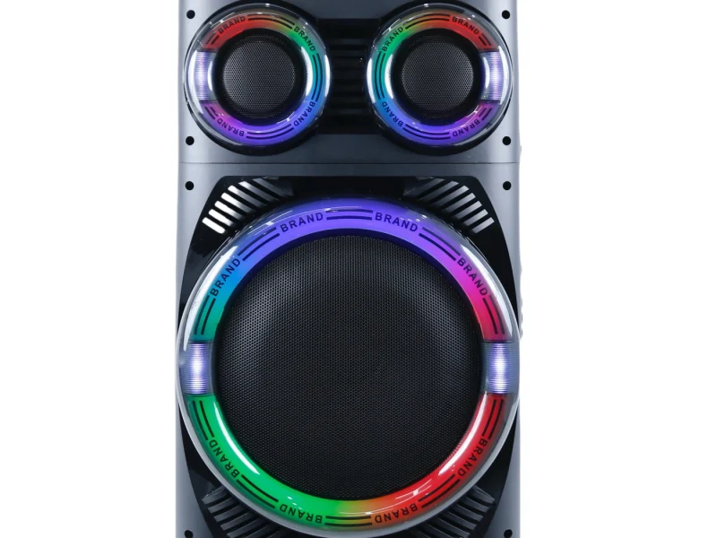 HJT-1201 Wooden Speaker