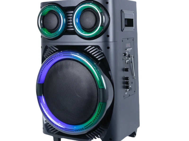 HJT-1201 Wooden Speaker