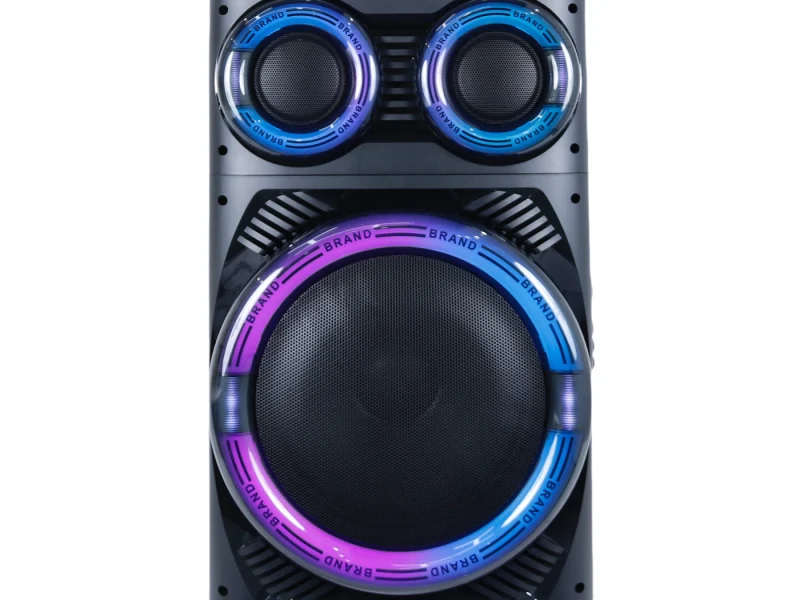 HJT-1201 Wooden Speaker