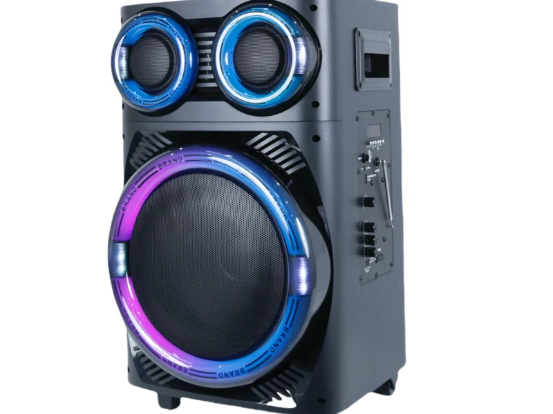 HJT-1201 Wooden Speaker