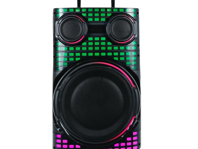 HJT-1202 Wooden Speaker