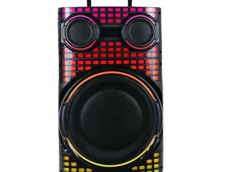 HJT-1202 Wooden Speaker