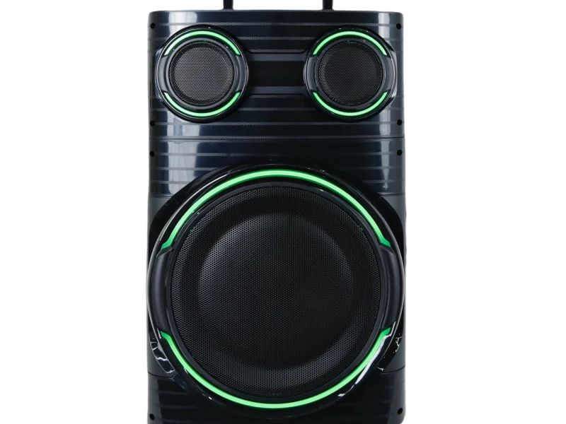 HJT-1202 Wooden Speaker
