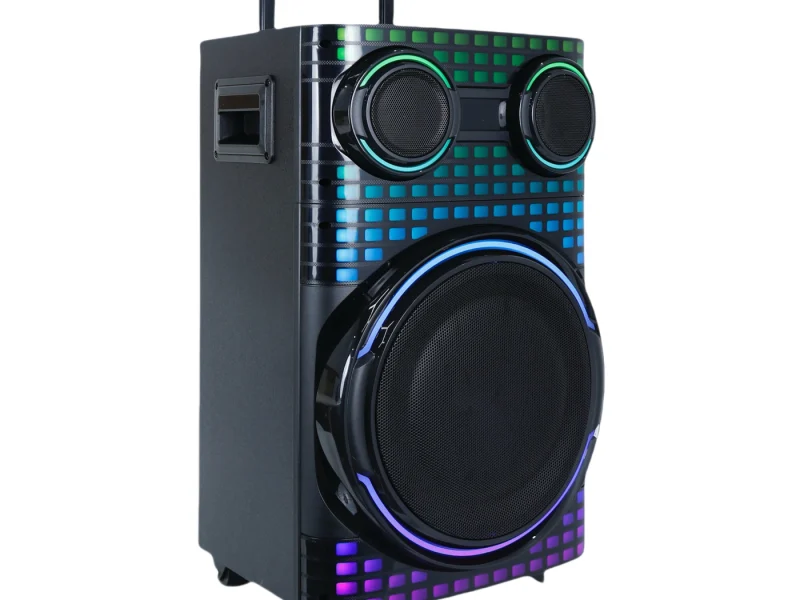 HJT-1202 Wooden Speaker