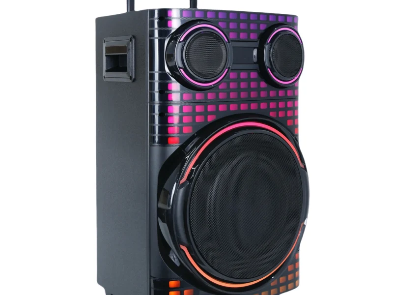 HJT-1202 Wooden Speaker