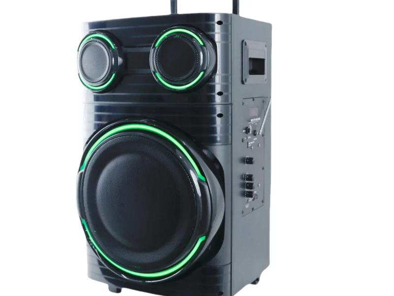 HJT-1202 Wooden Speaker