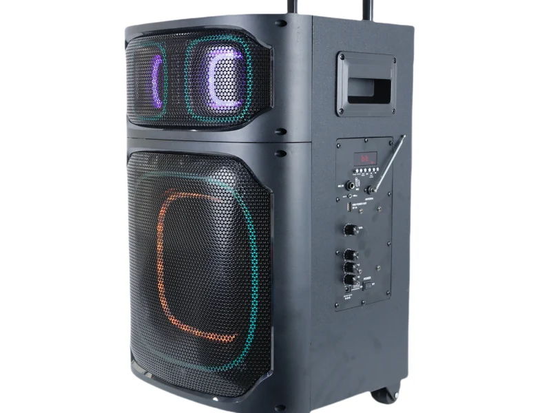 HJT-1203 Wooden Speaker