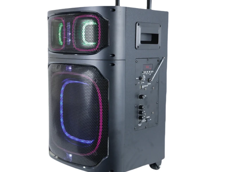 HJT-1203 Wooden Speaker