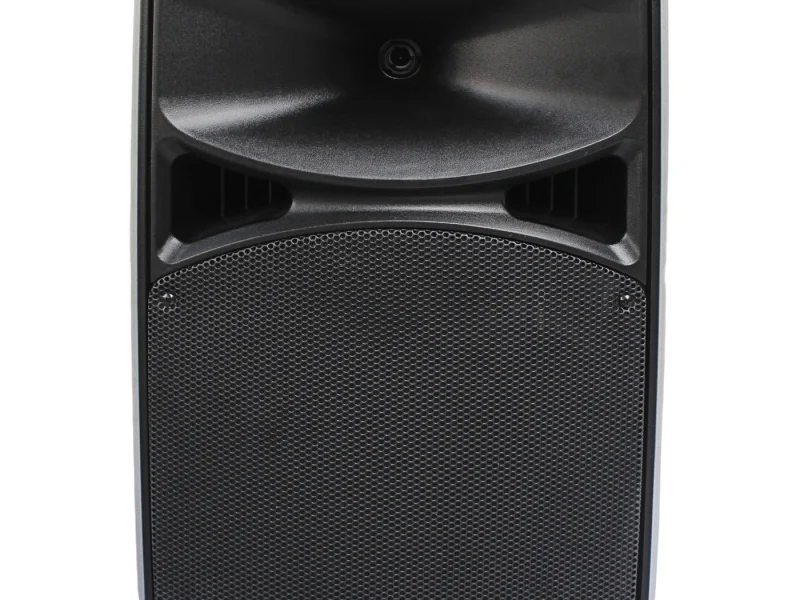 HJ15-09L PA Speaker