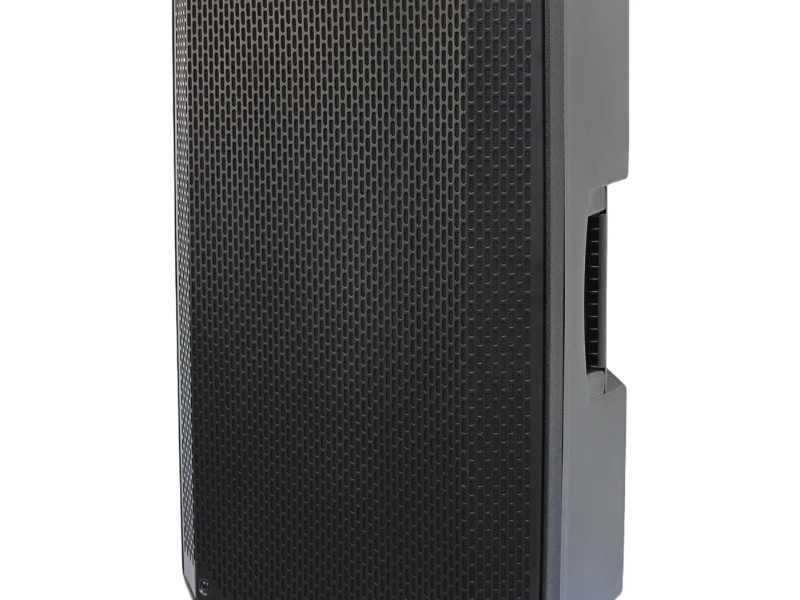 HJ12-10L PA Speaker