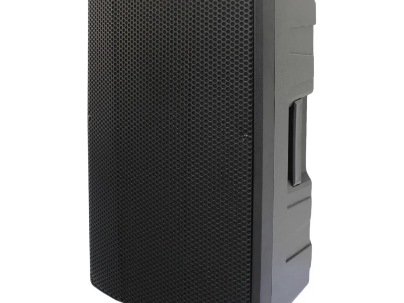 HJ12-12L PA Speaker