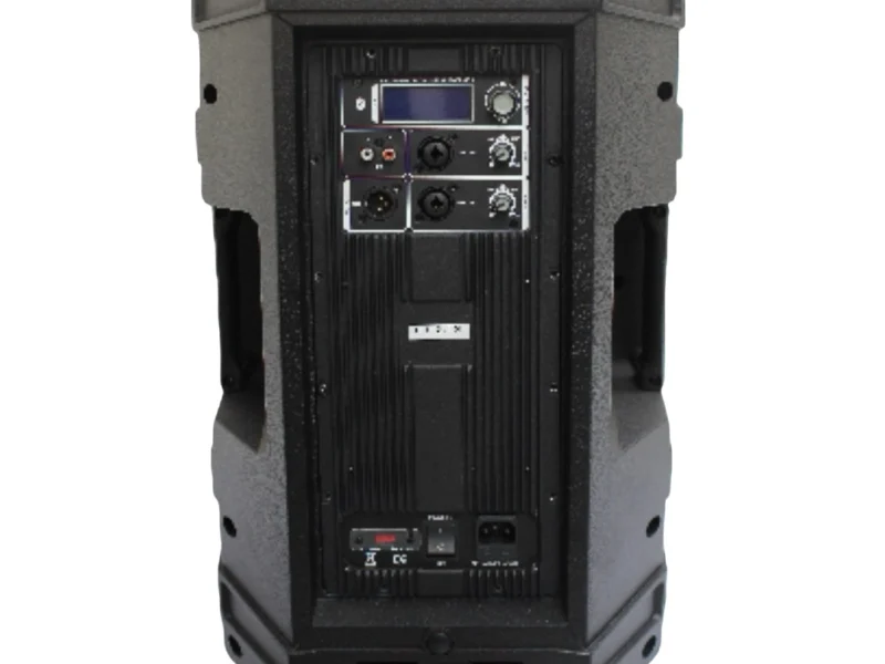 HJ12-12L PA Speaker