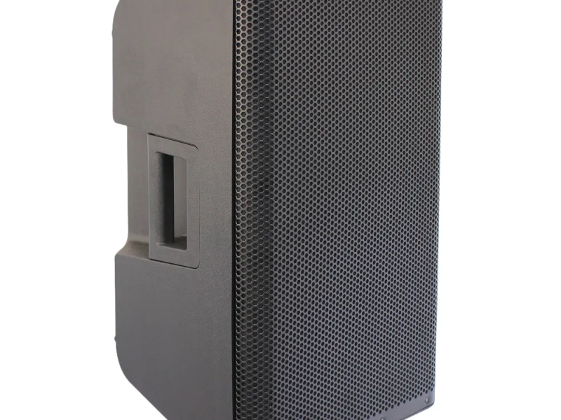 HJ15-01L PA Speaker