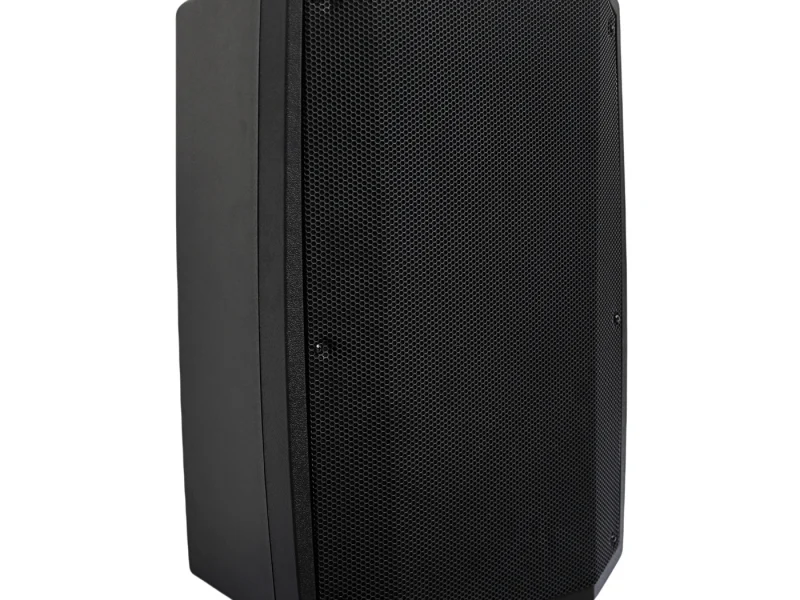 HJ15-16L PA Speaker