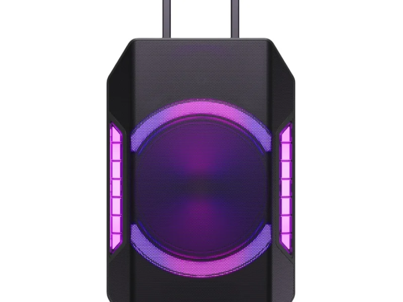 HJ15-61 PA Speaker