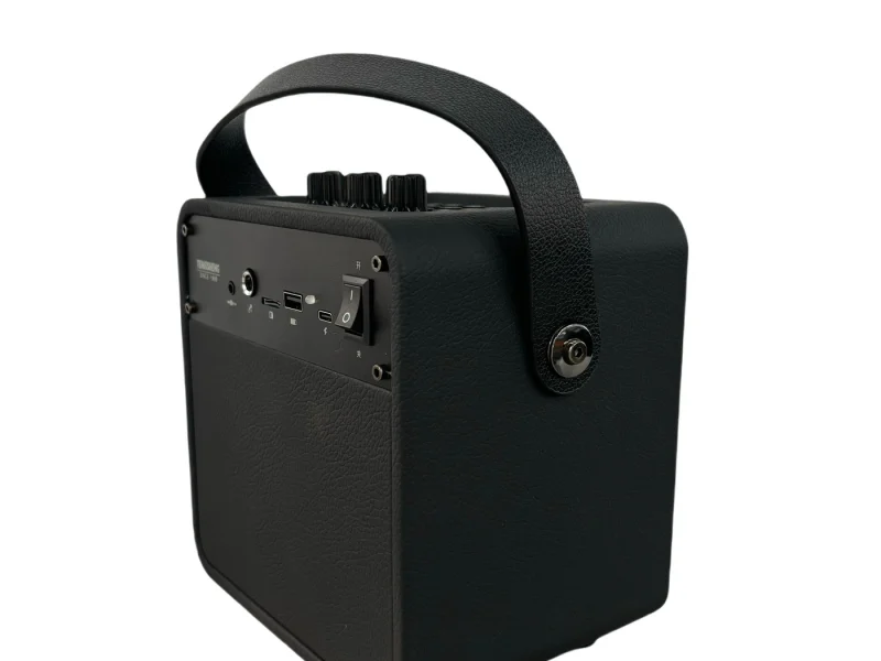 HJ04-10 Party Speaker