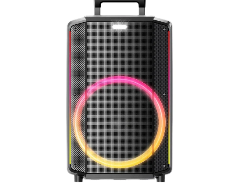 HJT-1203 Wooden Speaker