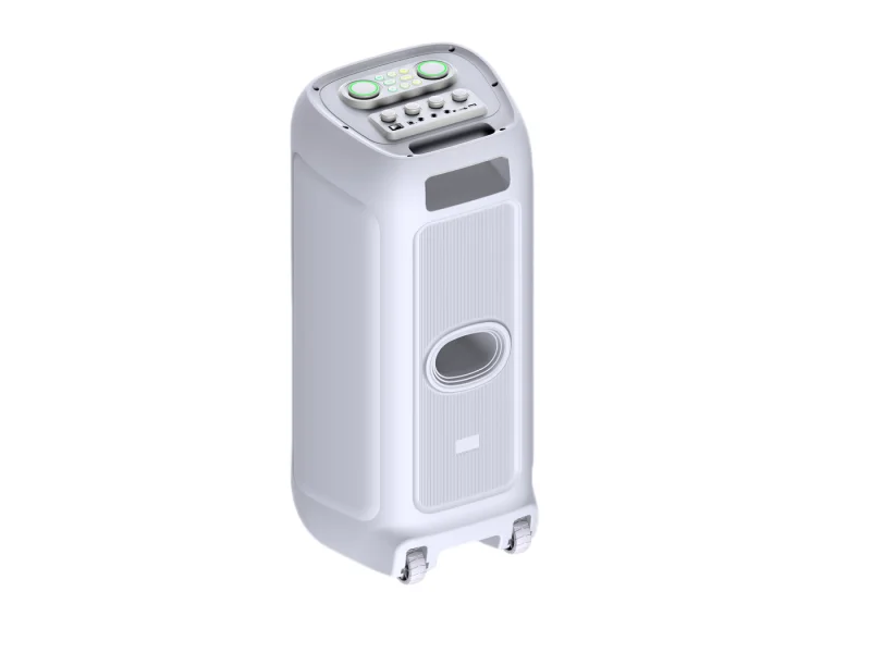 HJP-2820B1 Party Speaker